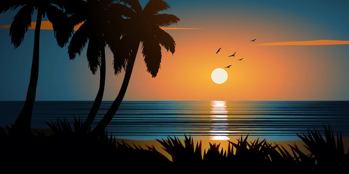 Scenic tropical beach sunset illustration vector
