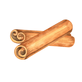 A pair of brown cinnamon sticks. Baking spices. Isolated watercolor illustration. This clipart is ideal for eco-friendly labels, spice packaging, food-related designs, or organic product promotions png