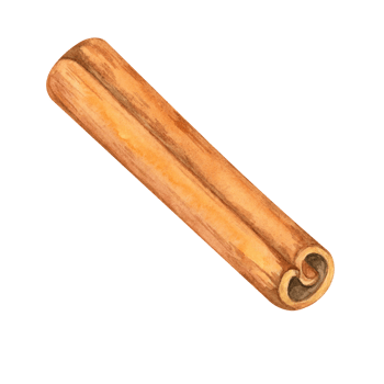 Cinnamon stick in rich brown tones, watercolor clipart. Detailed illustration ideal for culinary blogs, recipe books, and kitchen decor. Spice for food packaging designs and X-mas themed stationery png