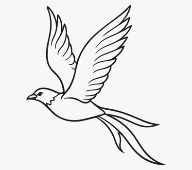 Minimalist flying Bird Line Drawing image clipart vector