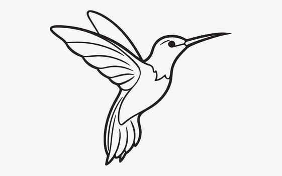 Humming Bird art icon clipart vector