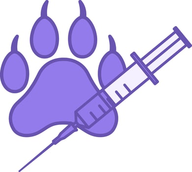 Veterinary Color Icon. Animal Paw and Medical Syringe. Pet Treatment, Veterinary Clinic vector