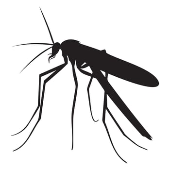 Silhouette of a Mosquito for Illustrative Purposes vector