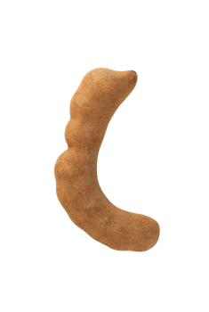 Sweet Tamarind, cutout, full depth of field png