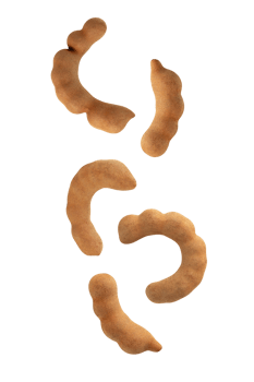 Falling Sweet Tamarind, cutout, full depth of field png
