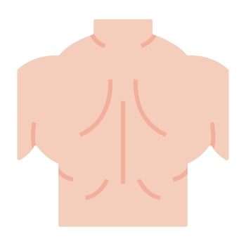 Creative design icon of back muscles vector