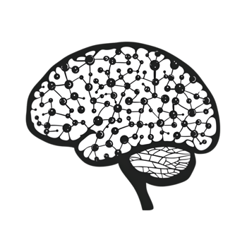 A black and white illustration of a brain png