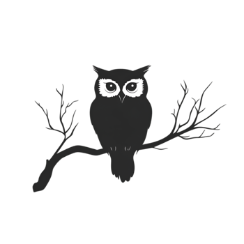 Owl on a branch png