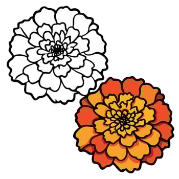Orange and red marigold flowers on pastel yellow background. Chinese mid autumn festival. Toran Indian traditional decoration. Symbol of mexican holiday Day of dead. Happy Diwali vector
