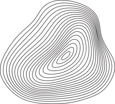 Topography line pattern circles. Circular organic rings. Wavy abstract shape with wooden texture. Concentric ripple contour graphic element. png