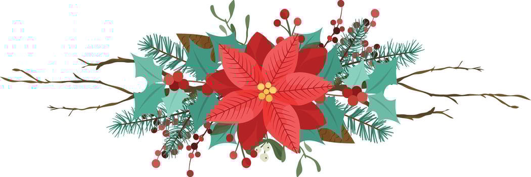 Poinsettia. Christmas decoration. Christmas wreath with poinsettia vector