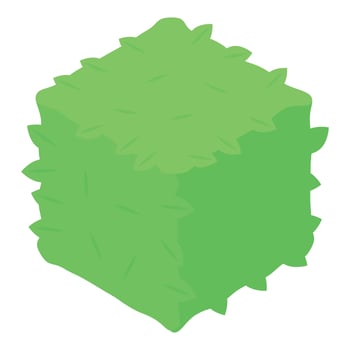 Green square bush covered with leaves is growing vector