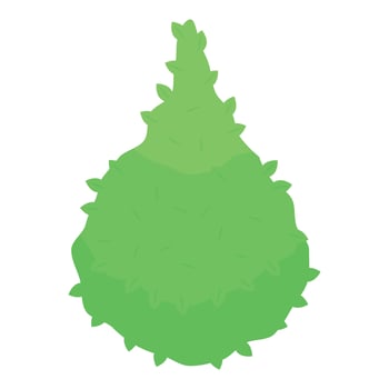 Green bush growing upwards with lush foliage vector