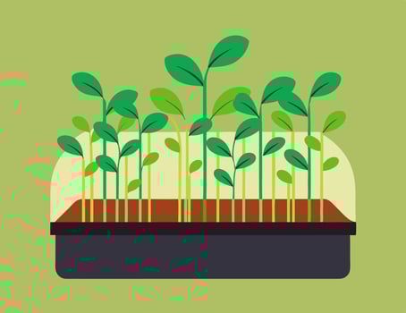 A plant growing in a container with soil vector