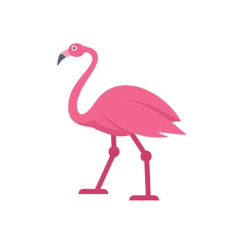 Pink flamingo walking gracefully with long legs vector