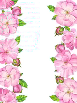 Frame with pink tea rose. Hand drawn watercolor illustration vector