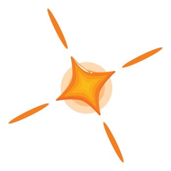 Bright orange cartoon star is shining with four rays vector