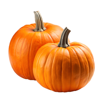 two pumpkins on a transparent background png