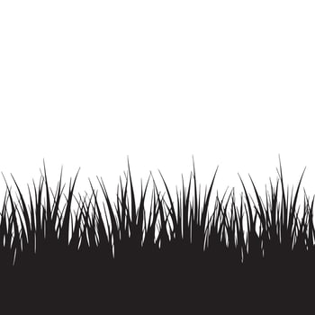 Black and White Grass Illustration vector