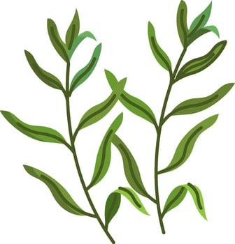Green leaves clipart vector