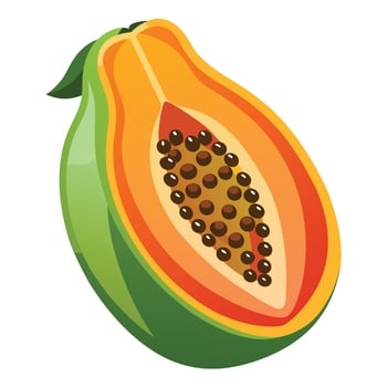 Papaya fruit illustration vector