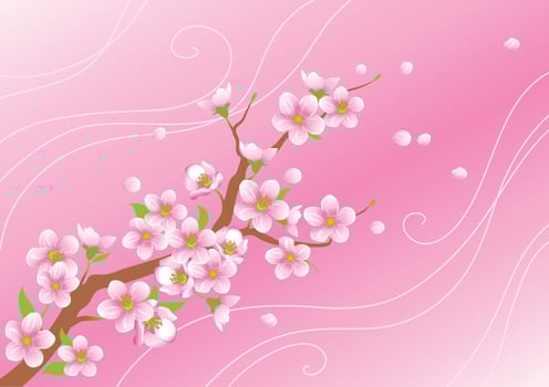 Blossoming Branch with Flying Petals on a Pink Background Artwork vector