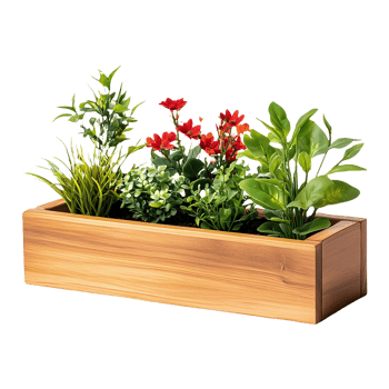 Flower Fantasy Isolated on Transparent Background png