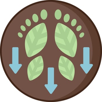 Footprints and footprints icon illustration vector