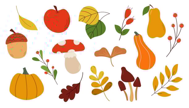 Set of autumn elements. Pumpkin, mushrooms, autumn leaves, rose hip, acorn, apple, pear drawn by hand. vector