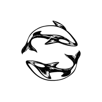 Orca Whale Sea Black and White logo vector