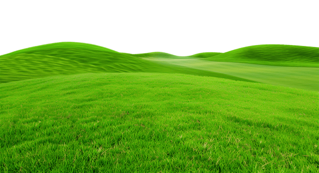 Golf Course Landscape Isolated on Transparent Background png