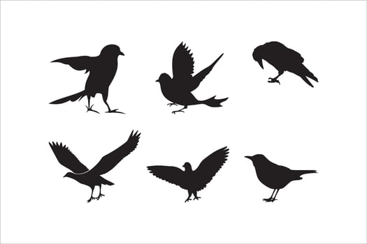 Bird silhouette set illustration. vector