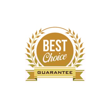 icon best choice badge vector