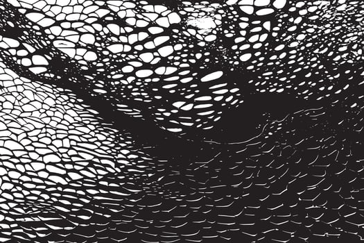Abstract white background texture with black monochrome overlay vector