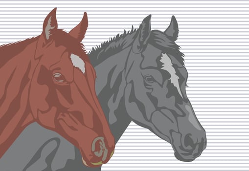 Two head horses with stripes at the background, in brown and gray color Illustration. vector