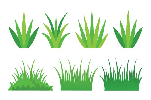 Grass collection set flat illustration on white background vector
