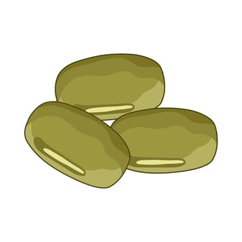 illustration of mung bean vector