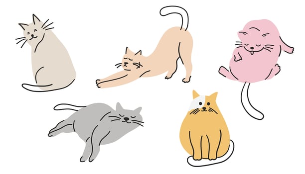 Cute doodle cats. illustration isolated on a white background. vector