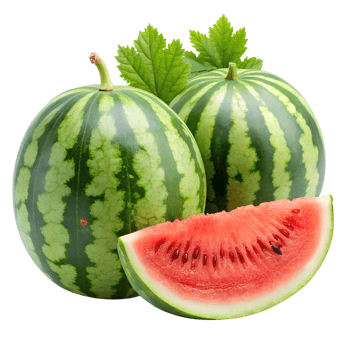 watermelon isolate on transparency background png