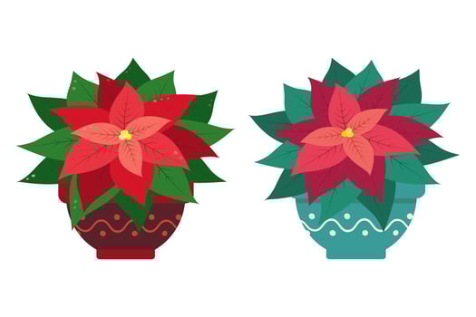 Poinsettia flower in pot Set of 2 design element different shades in trendy festive Christmas colors. Isolated illustration Thematic, greeting or invitation cards, poster, flyer or web, promo vector