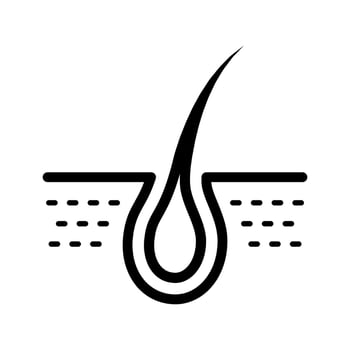 Hair Follicle Graphic Illustration vector