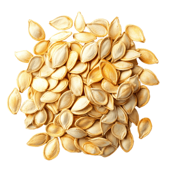 Heap of dry pumpkin seeds top view isolate on transparent background png