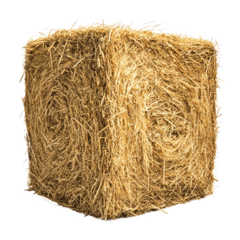 Square hay bale isolate on transparent background png
