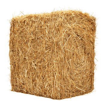 Rectangle hay bale isolate on transparent background png