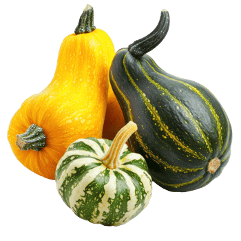 Autumn Squashes isolate on transparent background png