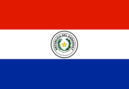 Paraguay flag illustrator country flags vector
