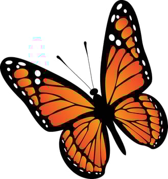 Colorful Flying Butterfly royalty free images vector