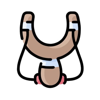 A cartoon horse with a red ribbon around its neck vector
