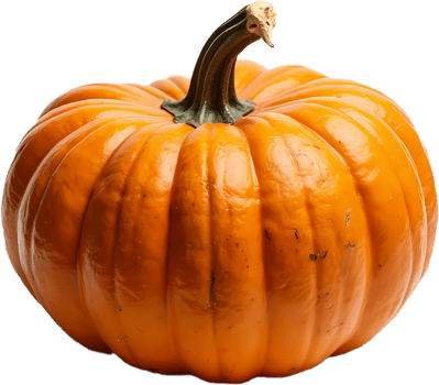 Realistic Bright Orange Pumpkin png