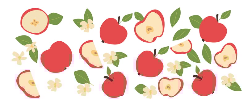 Hand drawn abstract apple fruit plant set. Whole fruit, slices, pieces and leaves, flowers vector